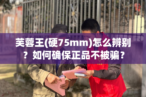 芙蓉王(硬75mm)怎么辨别？如何确保正品不被骗？